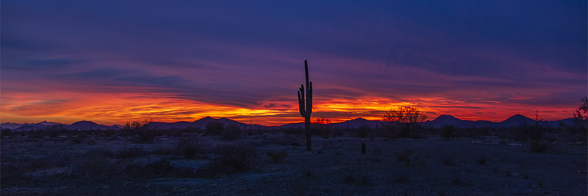 Sunset in Cave Creek with a lone Saquaro Cactus